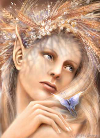 les fées d elfe